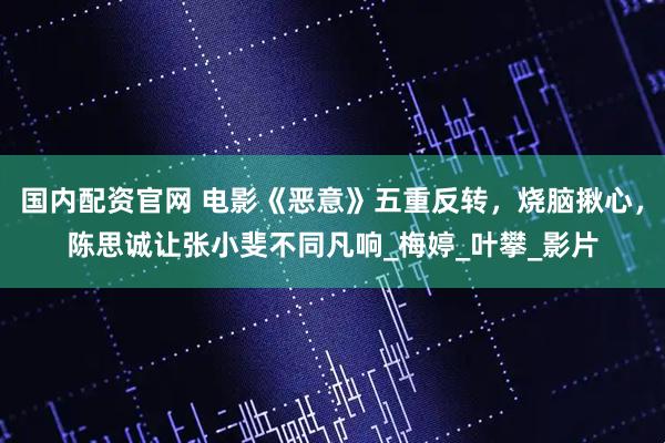 国内配资官网 电影《恶意》五重反转，烧脑揪心，陈思诚让张小斐不同凡响_梅婷_叶攀_影片